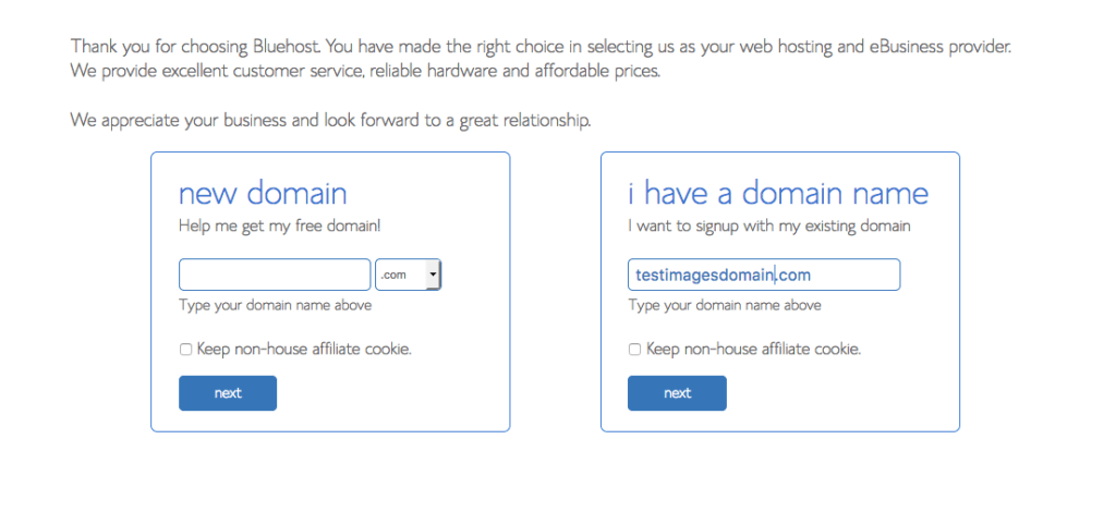 Choose Your Blog's Domain Name